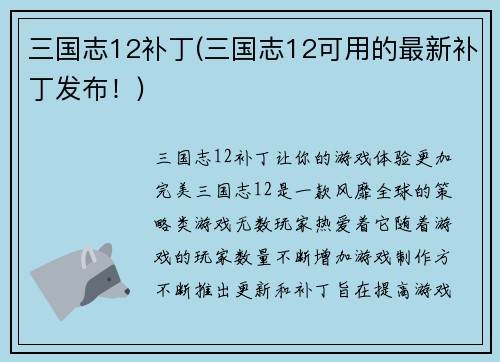 三国志12补丁(三国志12可用的最新补丁发布！)