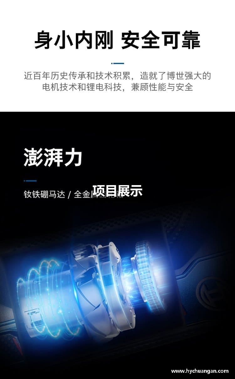 项目展示